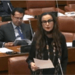 Senate Condemns Honour Killing in Balochistan, Demands Swift Action.