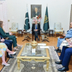 PM Shehbaz Dialogue with India: Pakistan Rejects Indian Allegations at UN