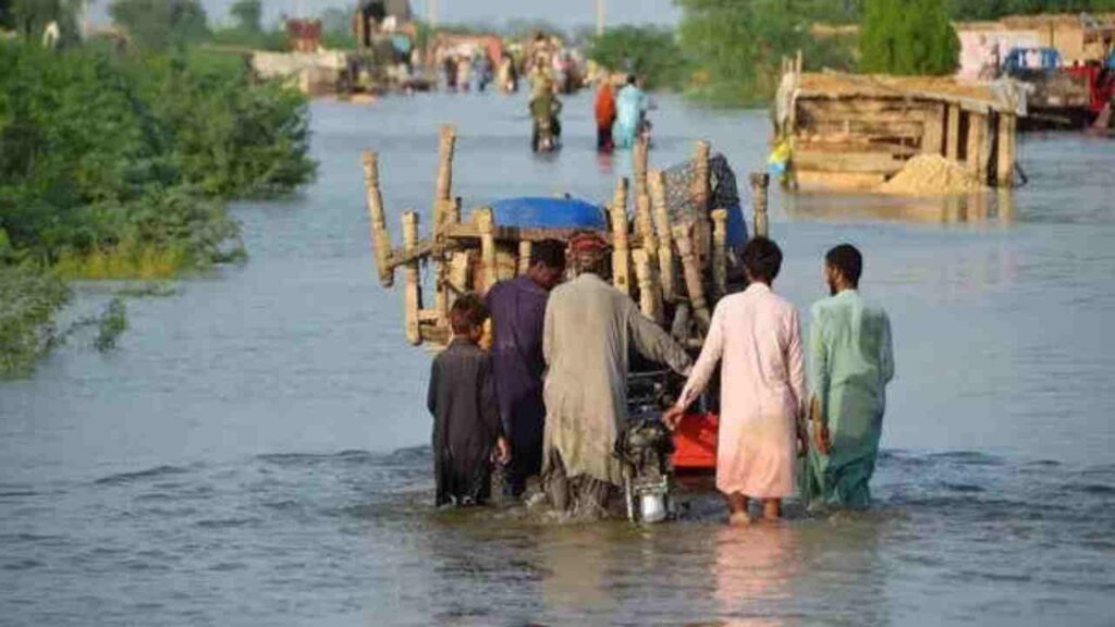 PESHAWAR: Khyber Pakhtunkhwa’s provincial government has ordered the closure of all educational institutions in the region’s winter zone for one week as a safety measure following catastrophic flooding that has ravaged northern districts.