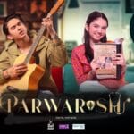 Parwarish (ARY Digital / ARY Family): #4