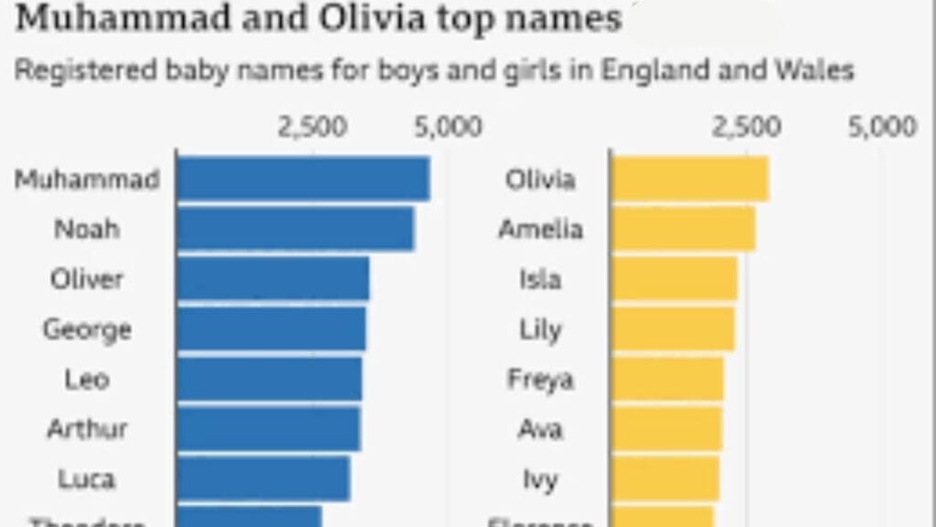 Muhammad Tops Baby Name Charts – And It’s Not Slowing DownOlivia still rules for girls, while nature-inspired and vintage names make waves