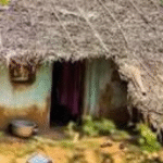 Tragedy Strikes Tamil Nadu: 39 Lives Lost in Political Rally Crush.