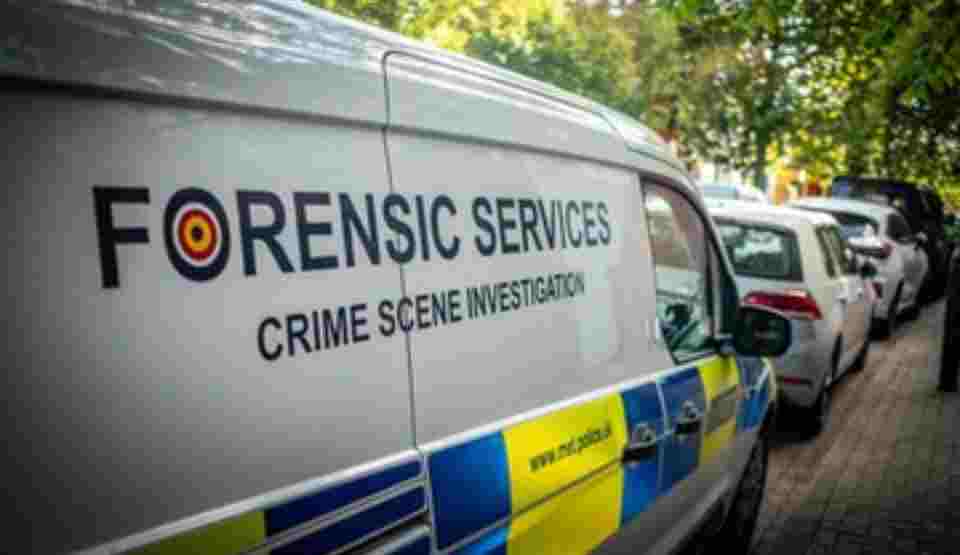 London Crime Wave: Fear Outpaces Reality as Luxury Theft Plummets.